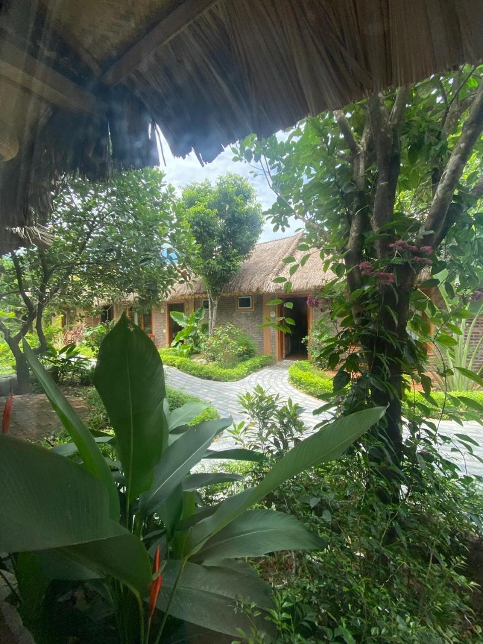 Lemon Tree Homestay Tam Coc Ninh Binh Exterior photo